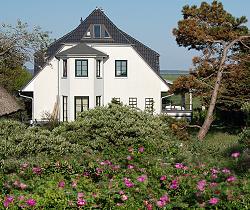 Hiddensee Meerblick